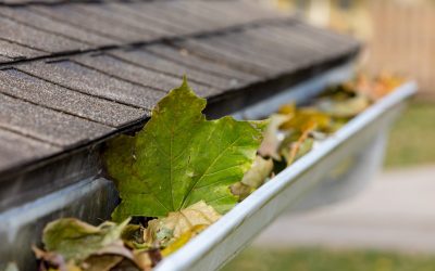 Revitalize Your Home: Gutter Cleaning and Repair Victoria, B.C.